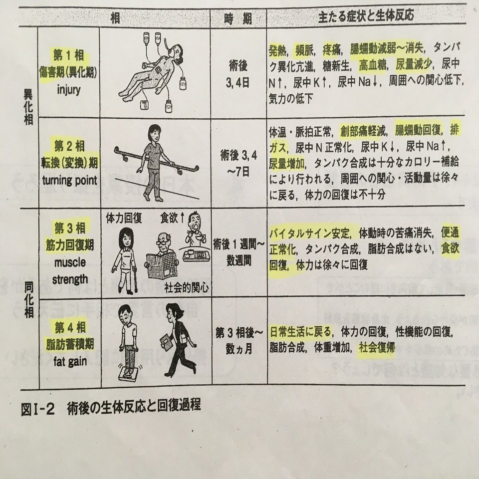 関連図 術後の関連図 ムーアの分類 第3相 鳩ぽっぽ Note