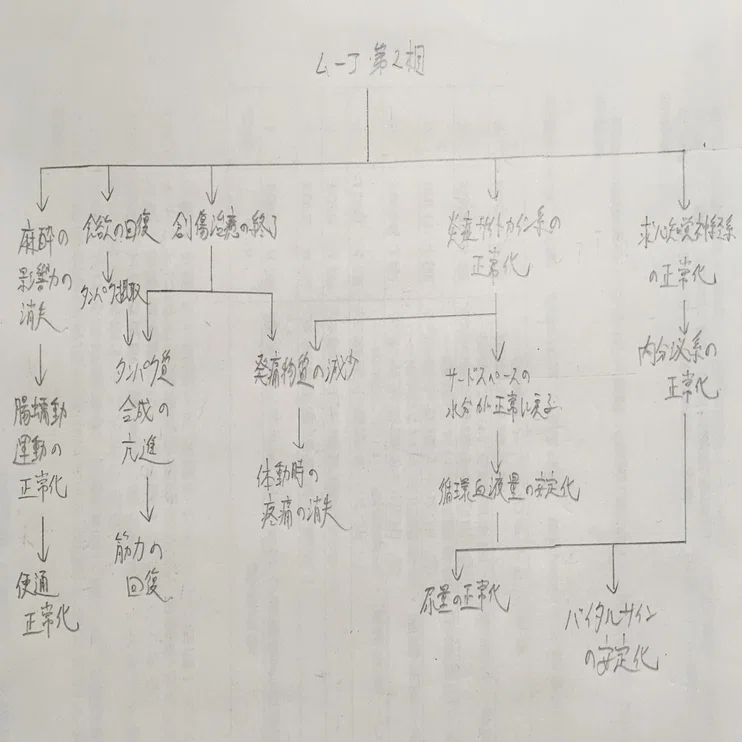 ムーア の 分類