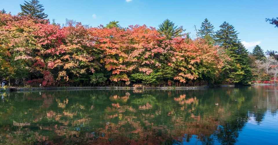 19 秋の景色 紅葉 加工したらゲームの背景とかに使えそうな写真 Note