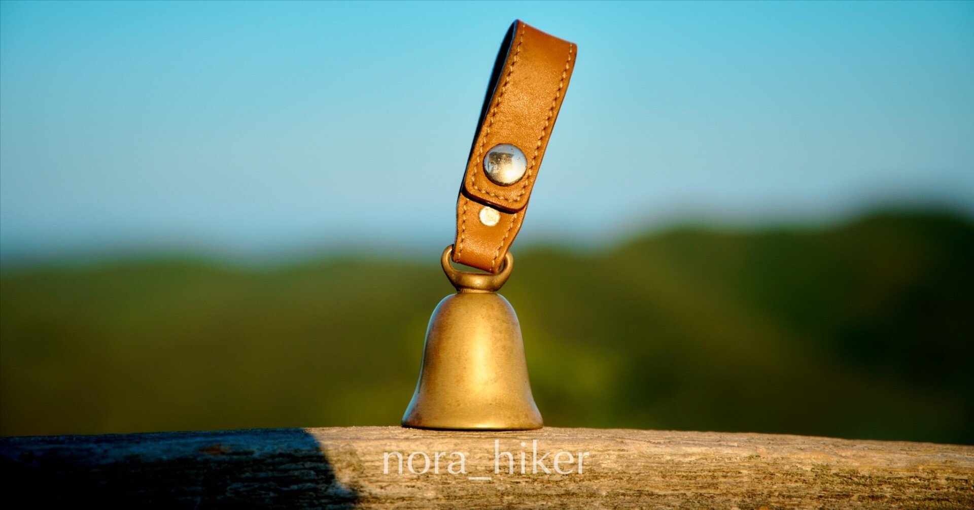 31bd3dea96f884fd17da7031485783