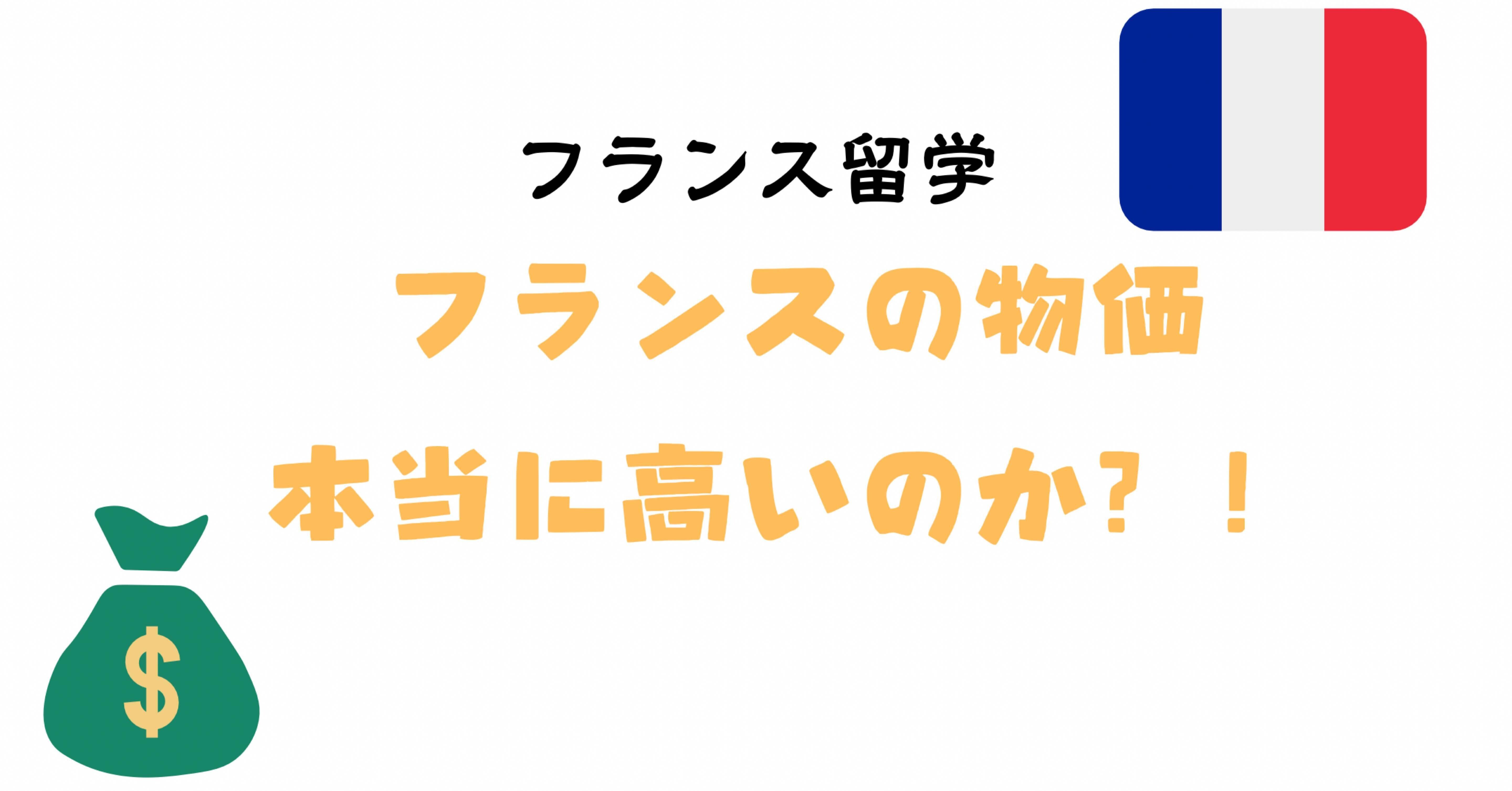 フランスはなんでもかんでも高いのか？検証してみた。｜Mouné