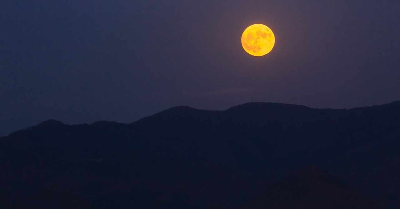 世界の終わりを パンを焼きながら待ち焦がれる Srs Note