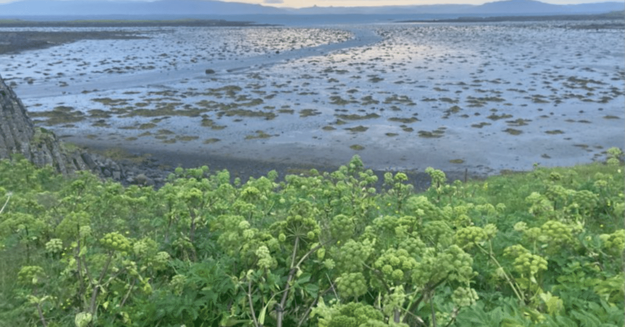 喚く。現代詩。|koji