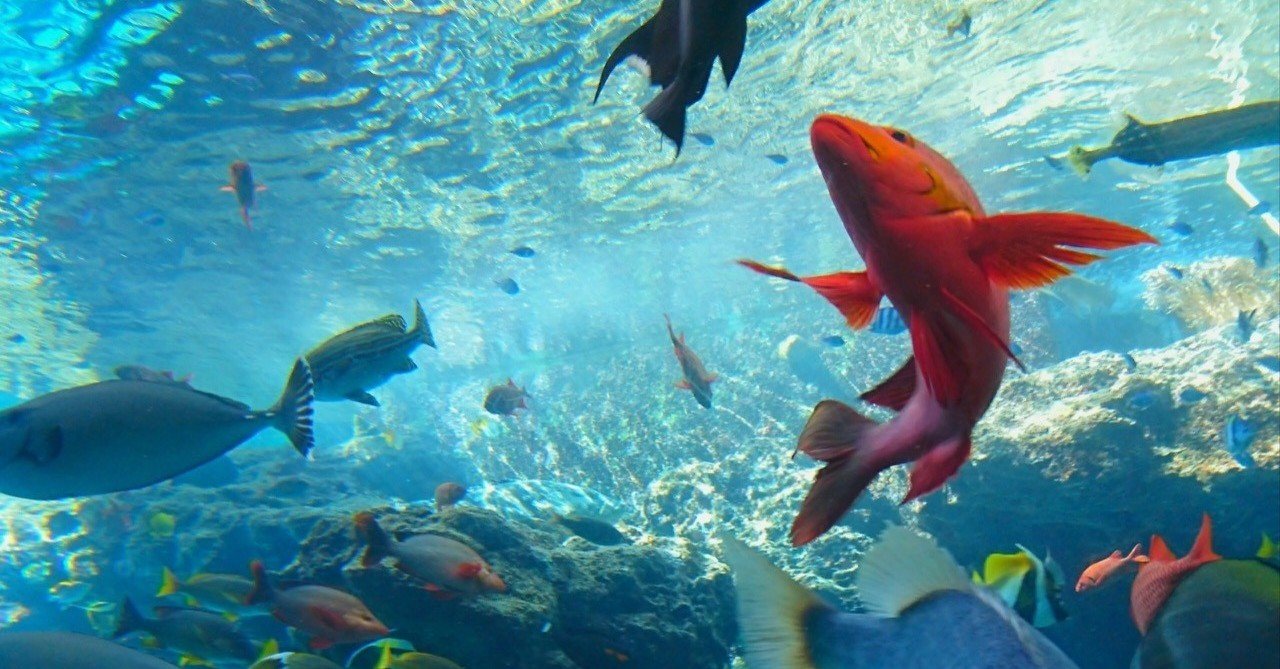 感受性と共感覚 あらた さき note