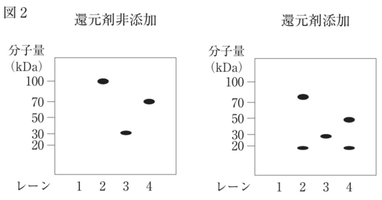 松廼屋｜論点解説 薬剤師国家試験対策ノート問107-114【生物】論点