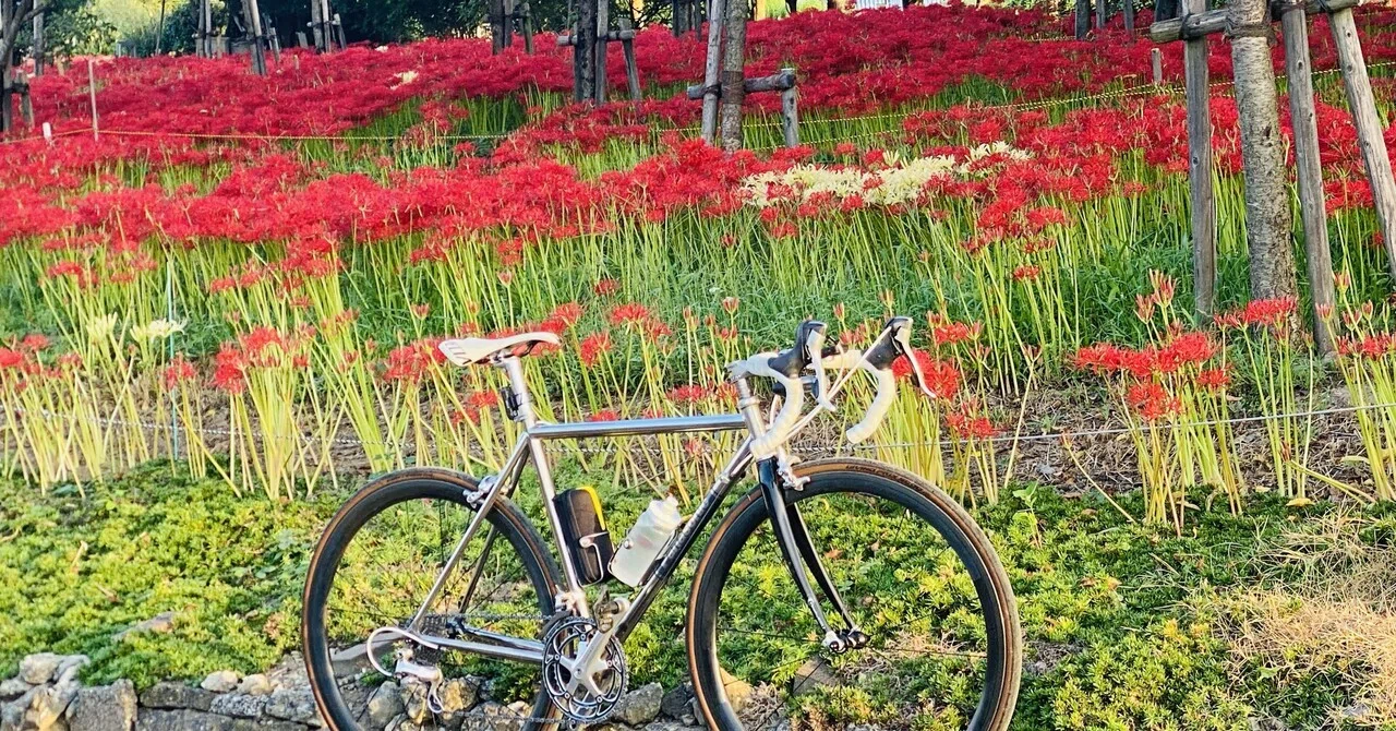 彼岸花ポタリング77km｜西川正治