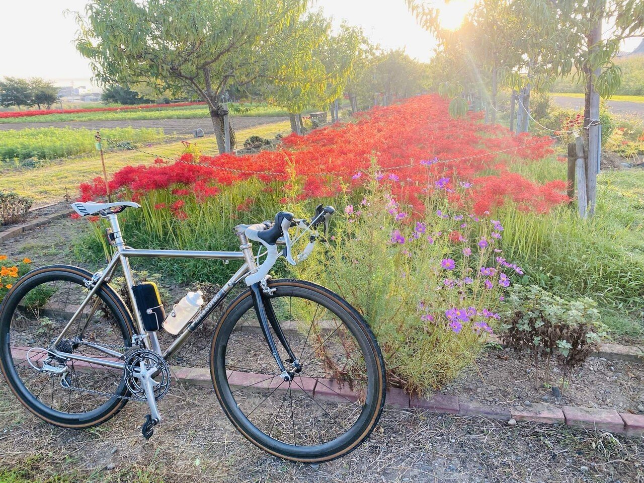彼岸花ポタリング77km｜西川正治