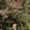 長谷川優子(Sachi Life Coaching Space)