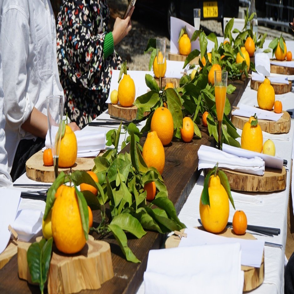 Table in Farm 秋 2024 -五感で繋がり、和歌山を囲む旅- ｜Table in
