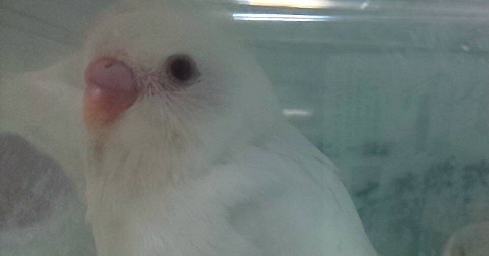 5b205522fa1d003e7313f0c10bf98c