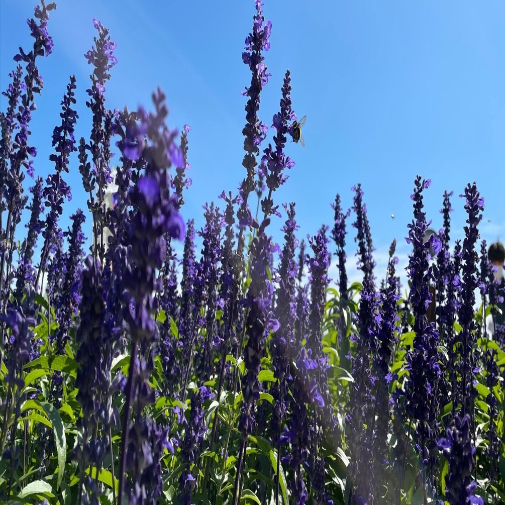 谷和樹の教育新宝島】vol.43 からの学びその子だけの世界｜TOSSファミリー