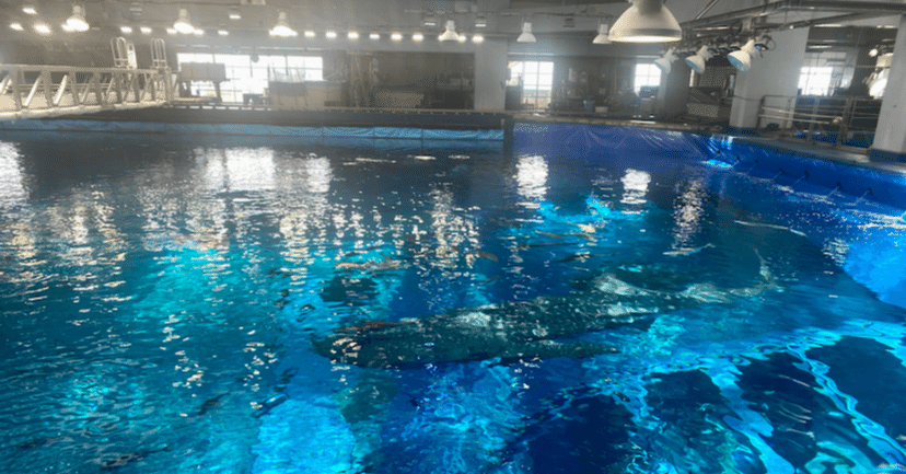 5e9dae475c4ba15e6fac55d1e03b9f