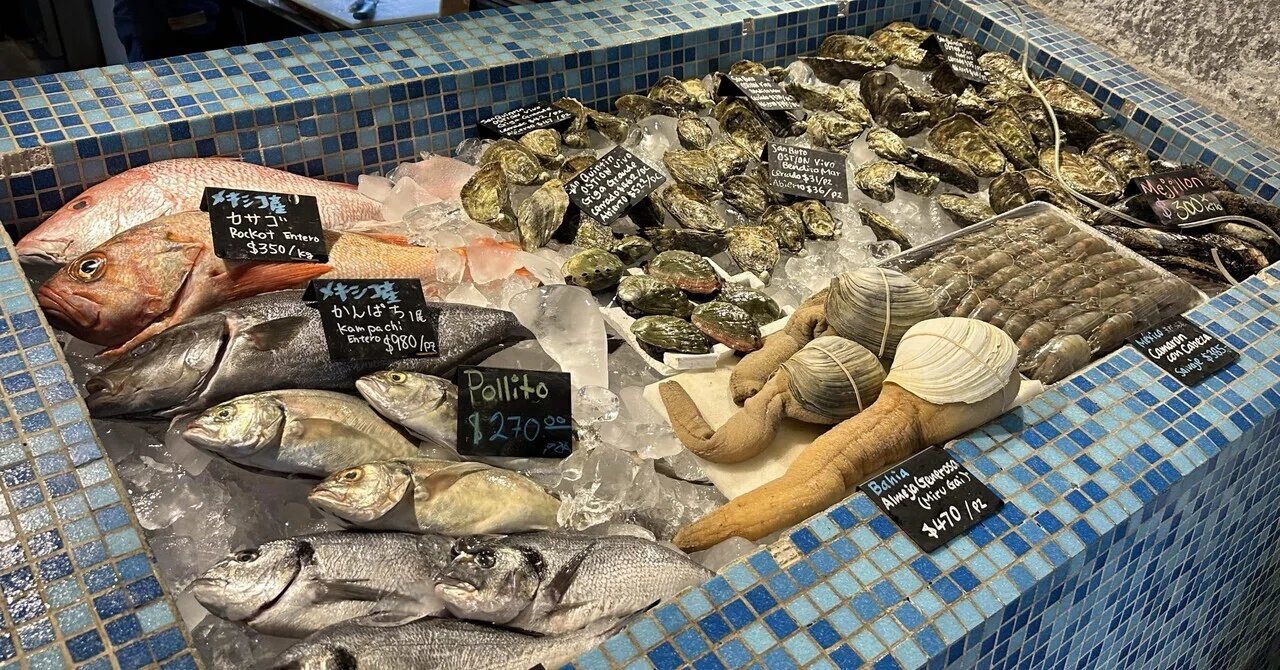 メキシコシティ駐在妻】新鮮なお刺身が買える🐟Sakanaya JAMES