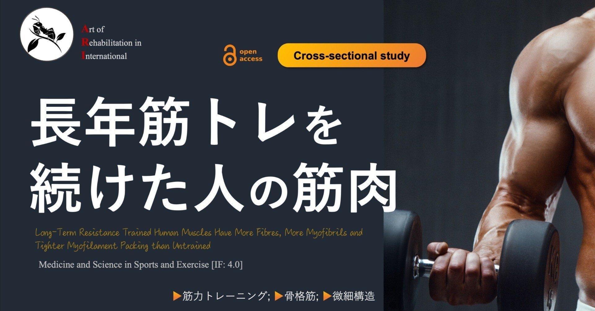 長年筋トレを続けた人の筋肉|Super Human | 理学療法士/保健学 長年筋トレを続けた人の筋肉|Super Human | 理学療法士/保健学