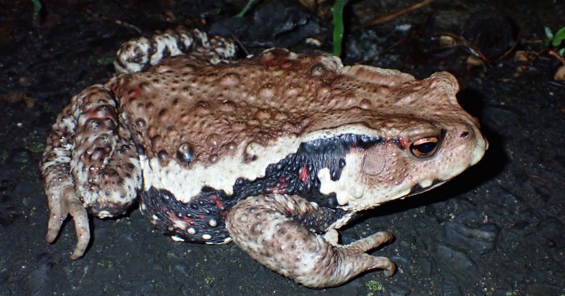 8a6ac6e60693e5460e278158e6433a