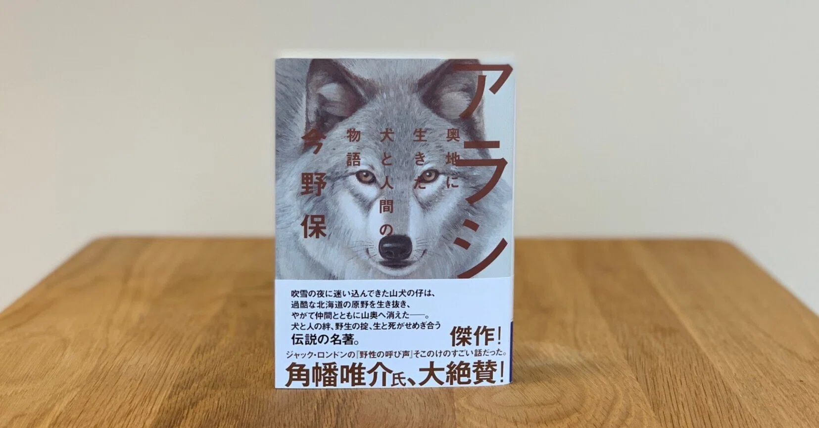 犬好き必読】少年と犬、運命の出会い――それは嵐吹きすさぶ夜のことだっ