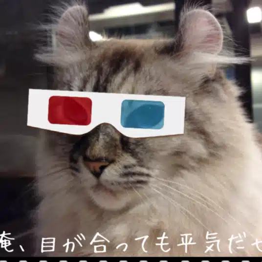 タラネコ