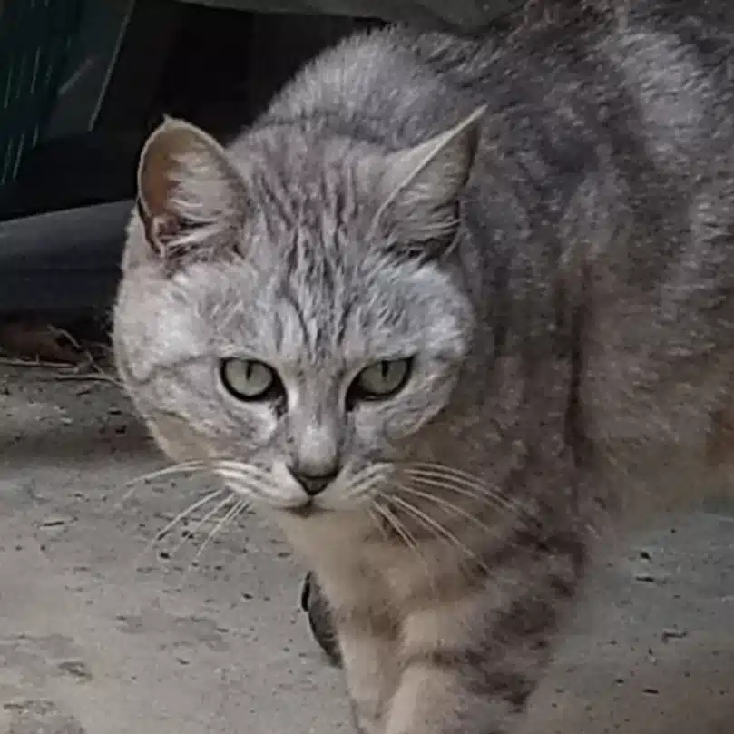 90歳