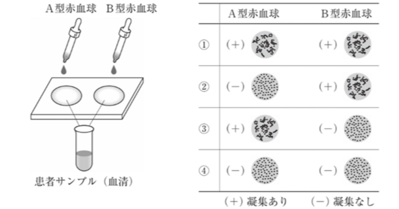 新生理科学大系 15 血液の生理学 日本検査血液学会標準化委員会