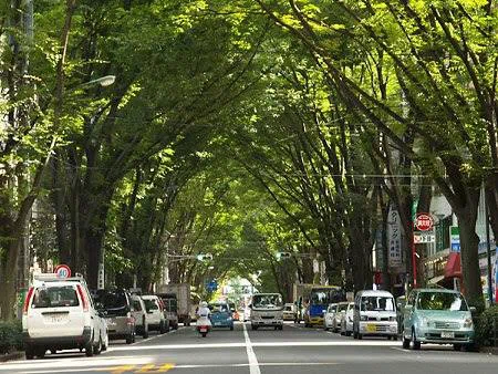 大崎善生を「再読」する｜草彅主税