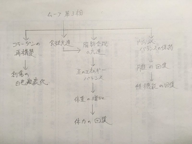 関連図 術後の関連図 ムーアの分類 第4相 鳩ぽっぽ Note 関連図 術後の関連図 ムーアの分類 第4相 鳩ぽっぽ Note