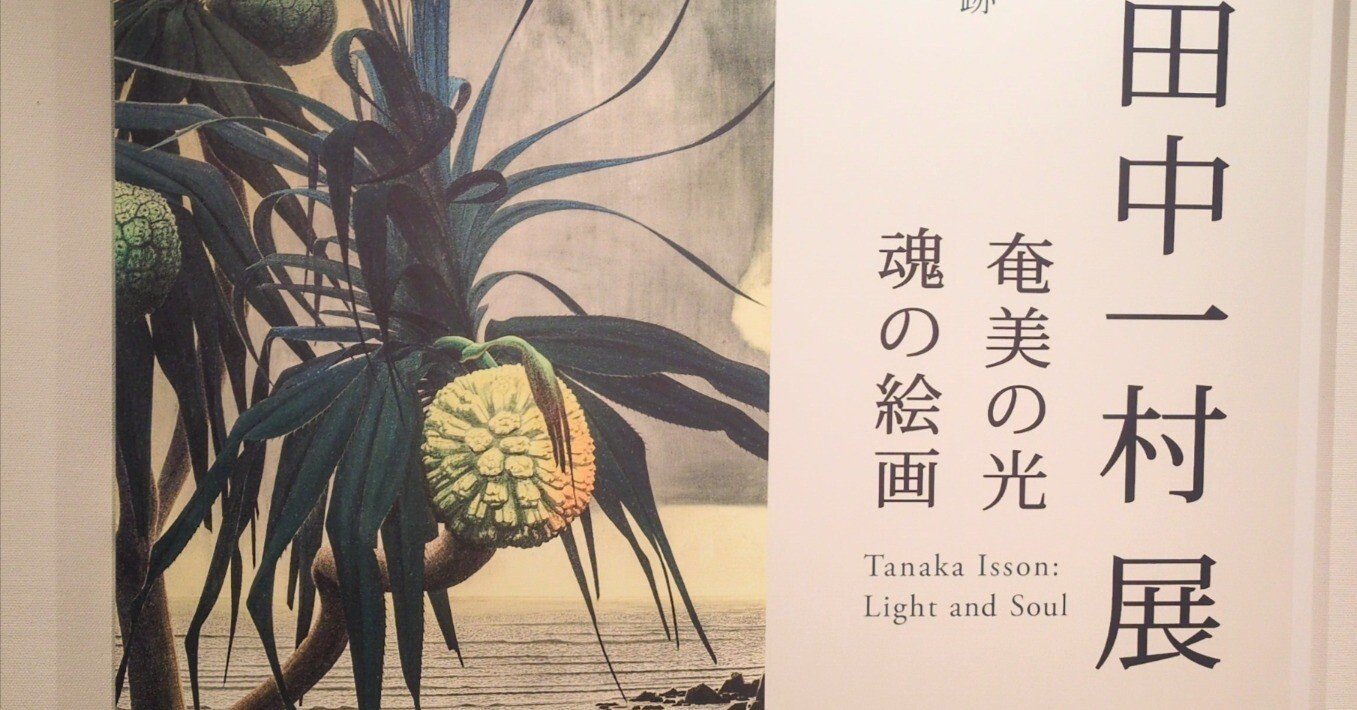 田中一村展 見れた嬉しさの感想だらつづり｜totono