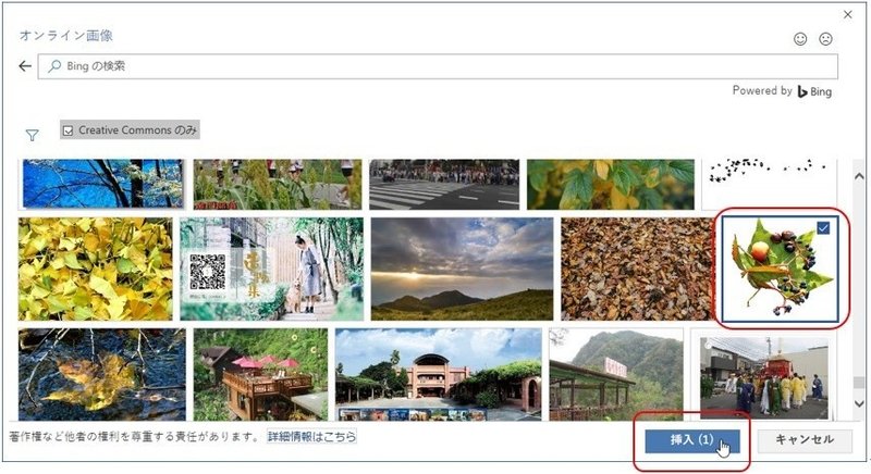 オンライン画像挿入
