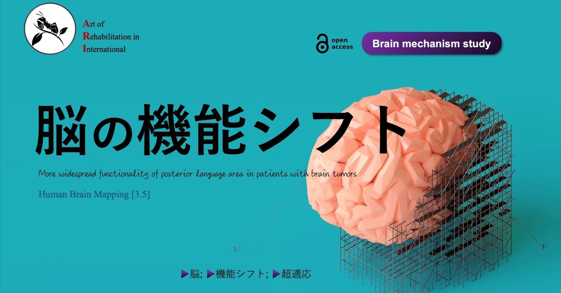 脳の形態と機能 : 画像医学の進歩 脳の老化は30代から!?人工知能(AI)で見える化する“MVision health”が