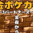 ポケモンオメガルビーに今更本気で取り組んでみました アチャモ成長記録 サンダースヌ Note