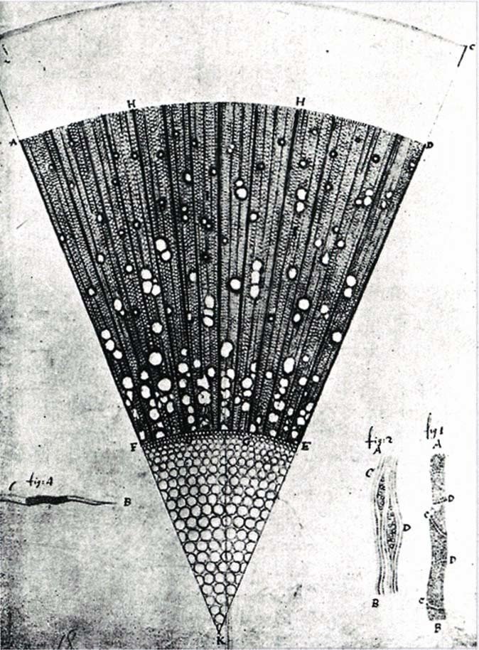 レーウェンフックと顕微鏡 17世紀オランダの 光の魔術師 Gelate ジェレイト Note