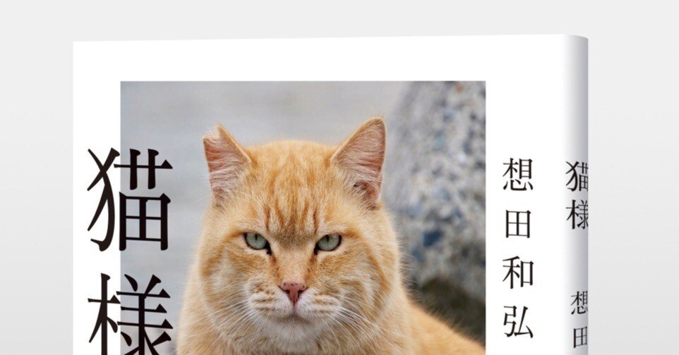 多々良ねこ 9 Million Views on TikTok] The Samurai Cat Everyone's