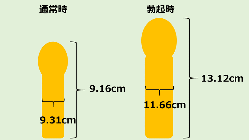 2 人のペニスを調査 あなたのペニスは大きいの 小さいの Sgm 裏備忘録 Note