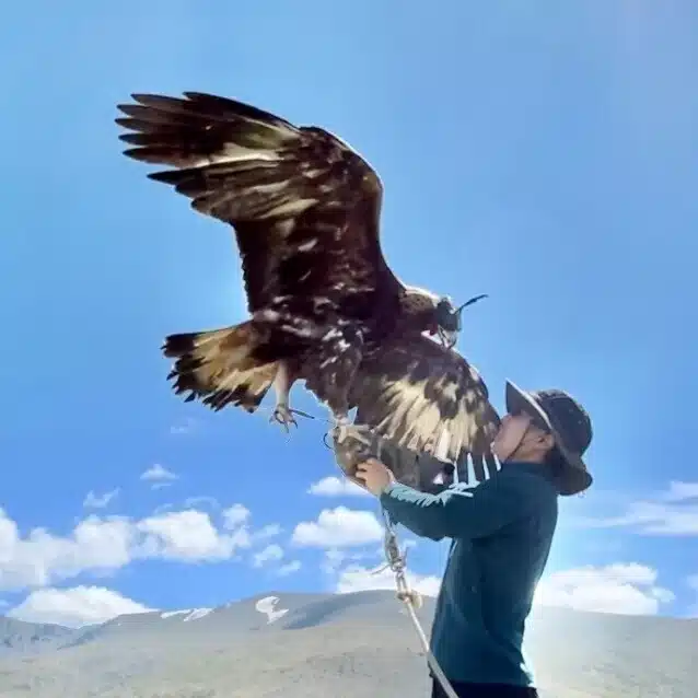 とある人生迷子