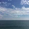 菊地翔太(英語史)
