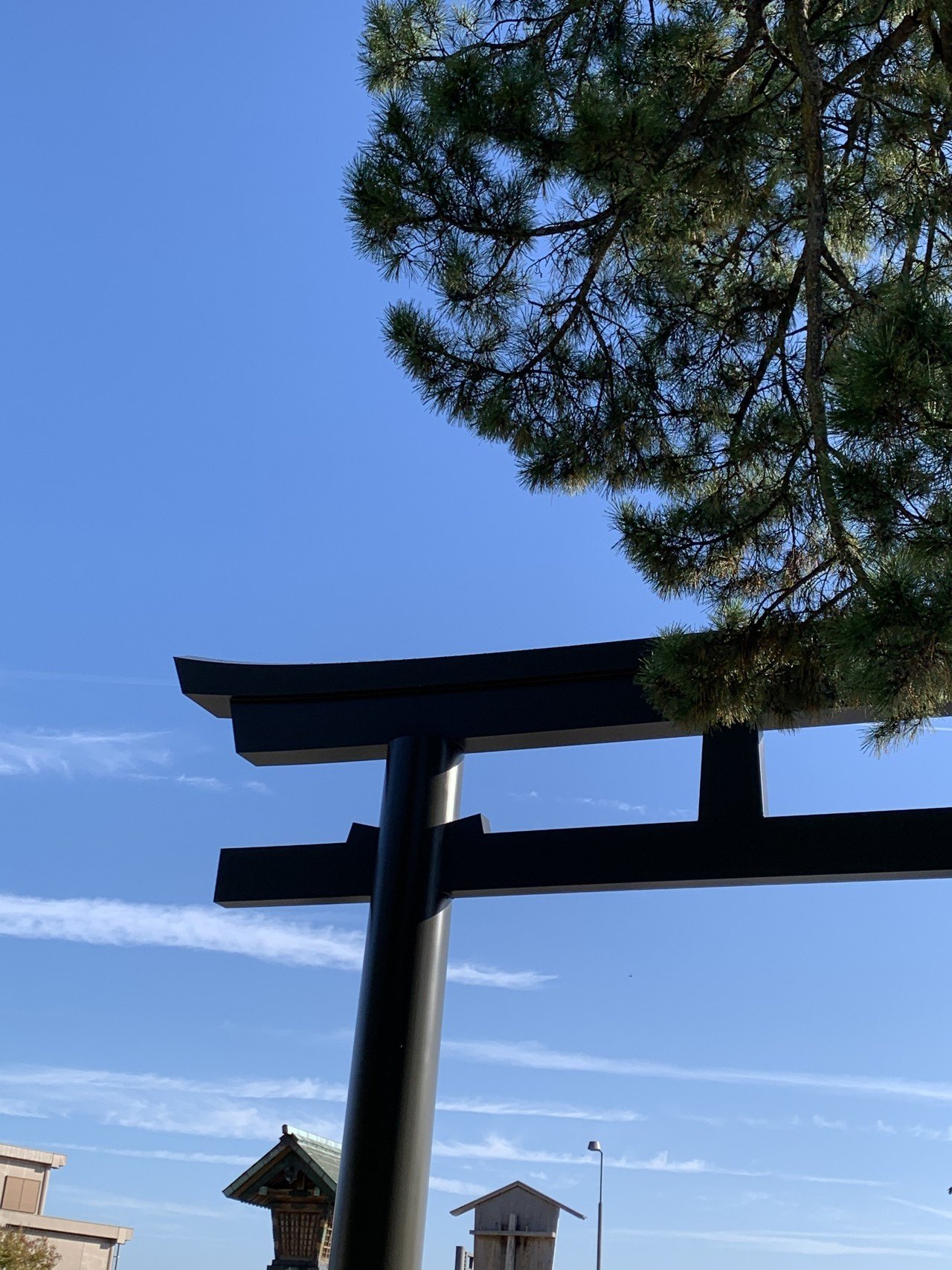 神在月に出雲大社に行って来ました 泥棒猫 Ing Ing Ing Note