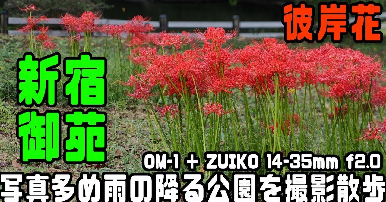 スーパーハイグレードと彼岸花！ZUIKO DIGITAL 14-35mm f2.0 で新宿