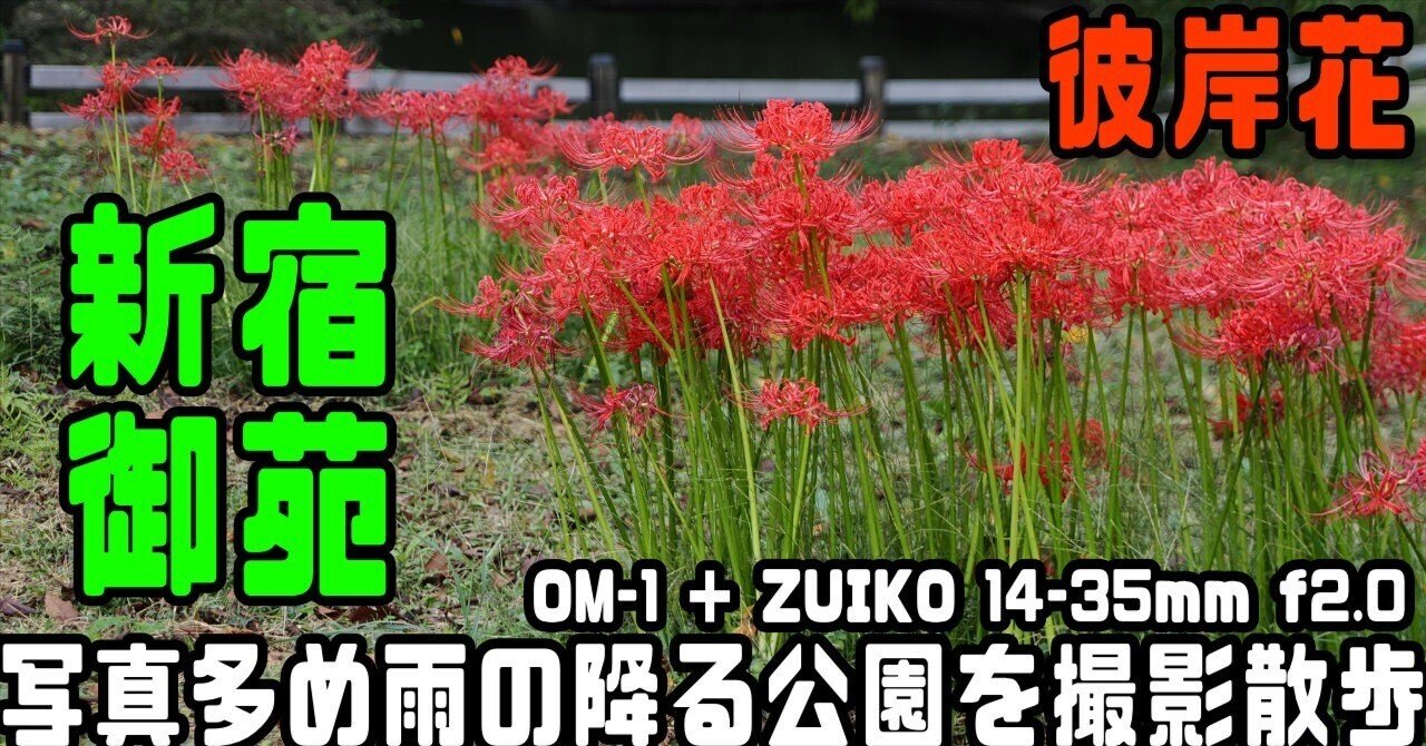 好花撮 Gr01SrBWkAAHqe-.jpg
