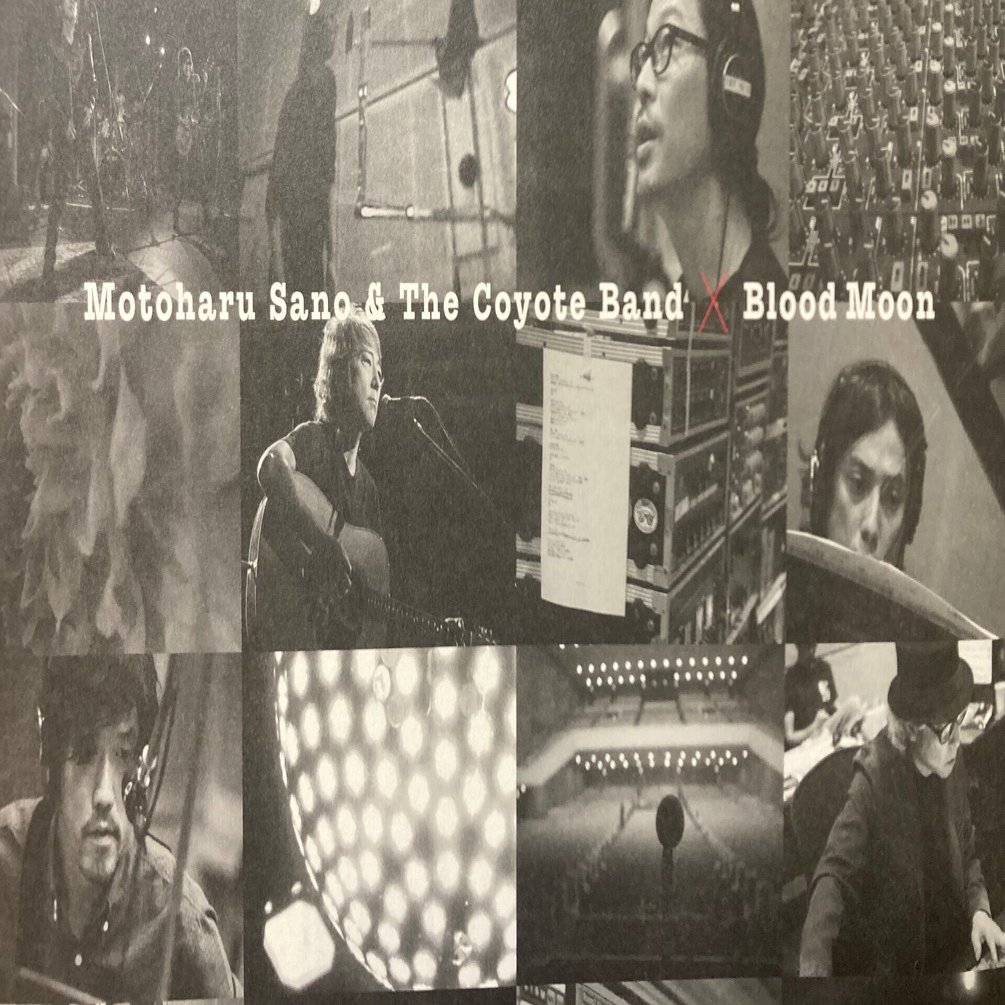 佐野元春 & ザ•コヨーテバンド BLOOD MOON｜bluebeat