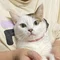 さざれ