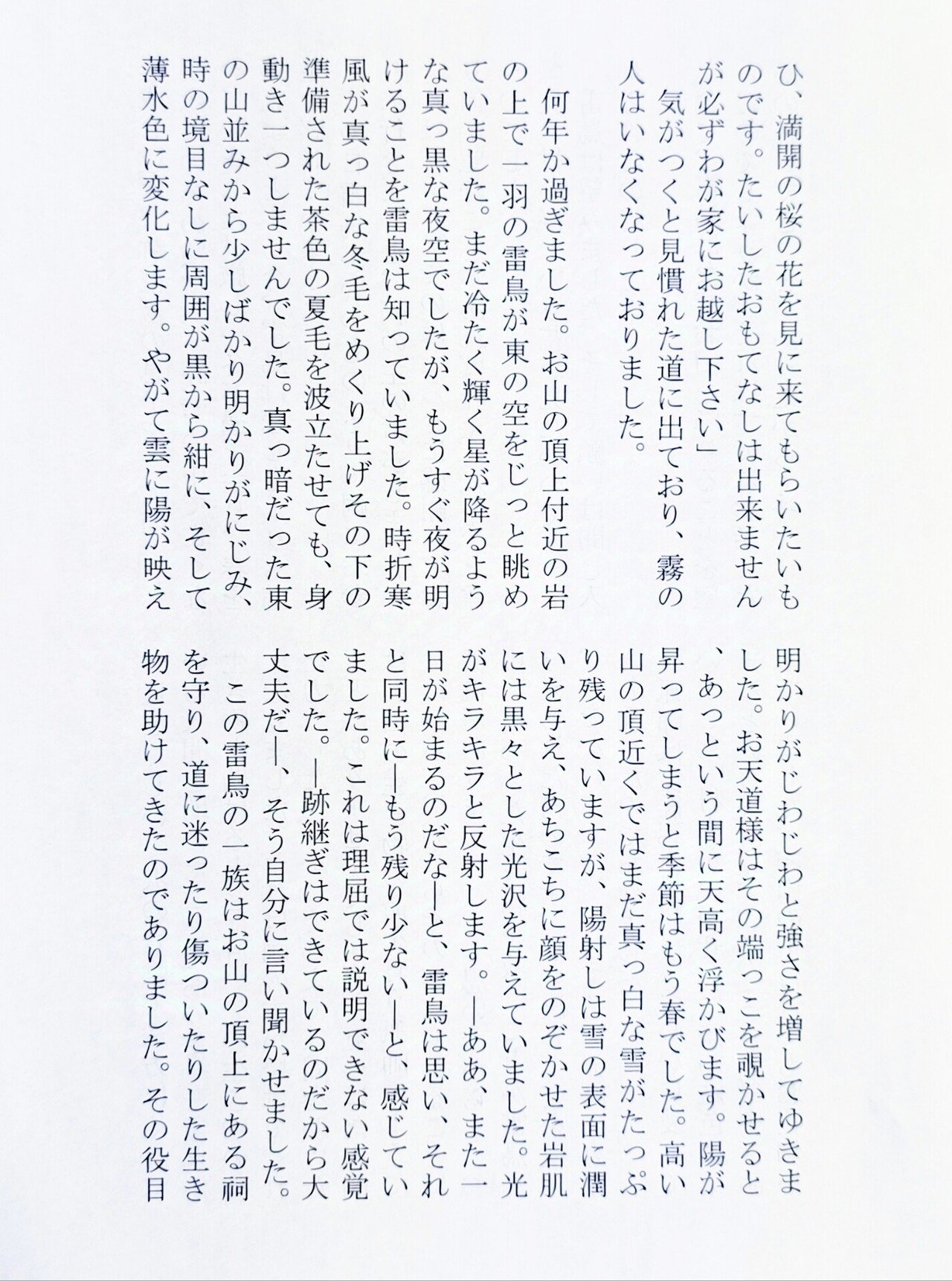 画像5