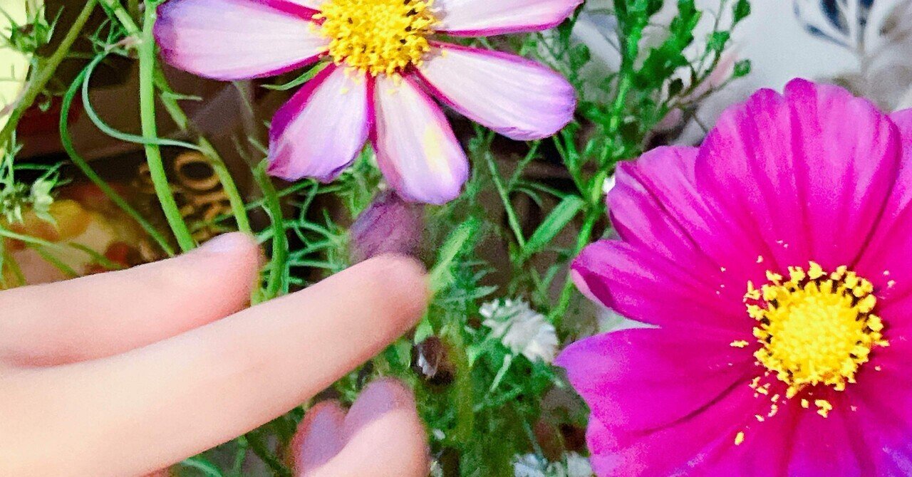 Lilly様♡ありがとうございます♡ 85🍙 on X: 