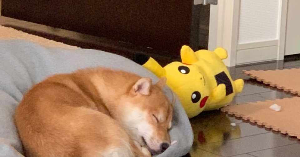 犬がタバコを吸う 四方漱一 Note