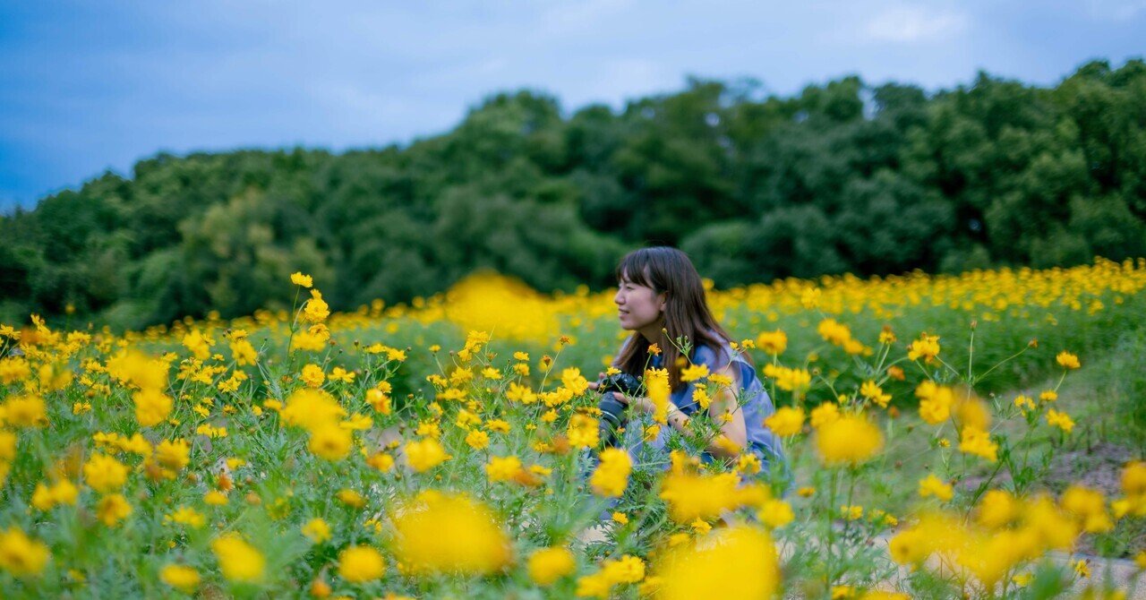 Z6III】新発売のNIKKOR 50mm F1.4のファーストインプレッション Z6III】新発売のNIKKOR 50mm F1.4のファーストインプレッション