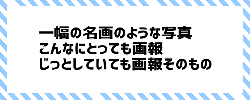 一幅の名画のような写真