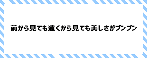 前から見ても遠くから見ても美しさがプンプン