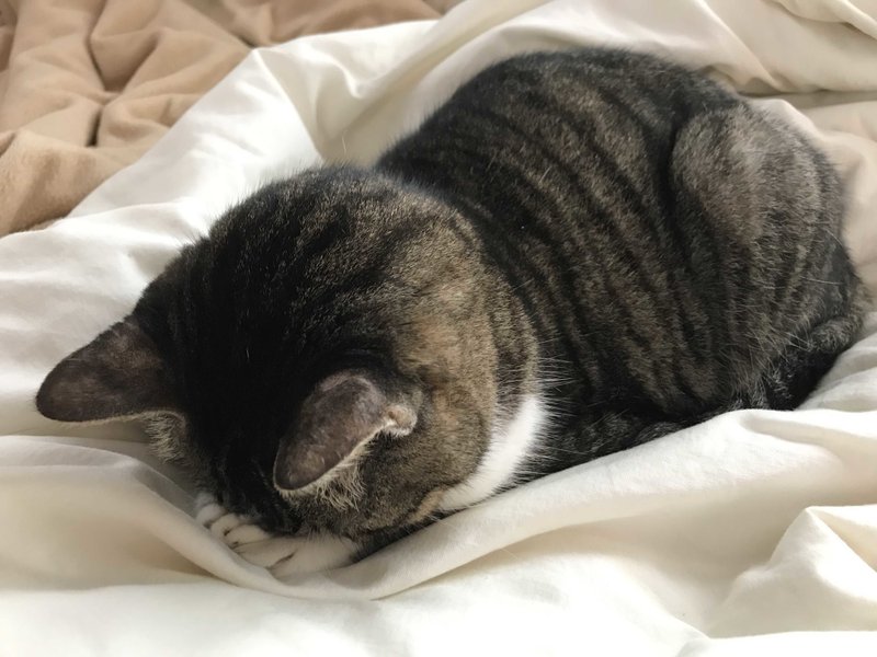 実は何も考えてない の新着タグ記事一覧 Note つくる つながる とどける