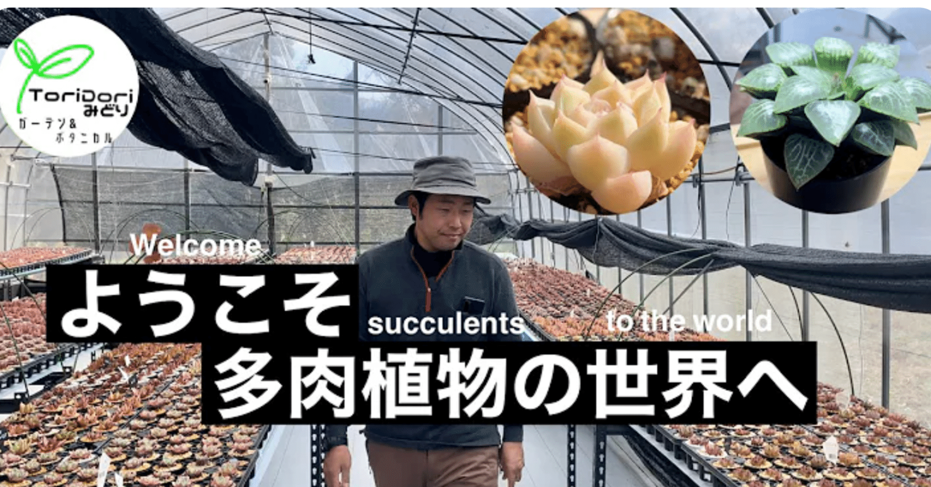 世界の希少な多肉植物を集める専門店「ToriDoriみどり」がおすすめする