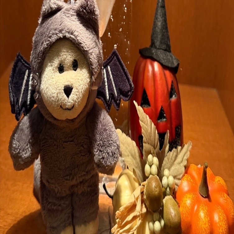 あなたの知らない「ぬいぐるみ旅行」の世界へようこそ！ぬい撮りは