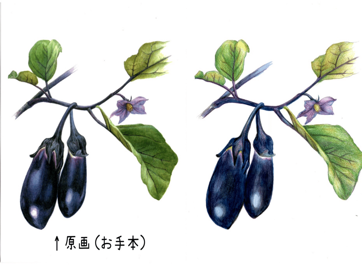 【原画】元気がもらえる茄子の絵　A4 １点もの　顔彩絵の具 原画】元気がもらえる茄子の絵A4 1点もの顔彩絵の具