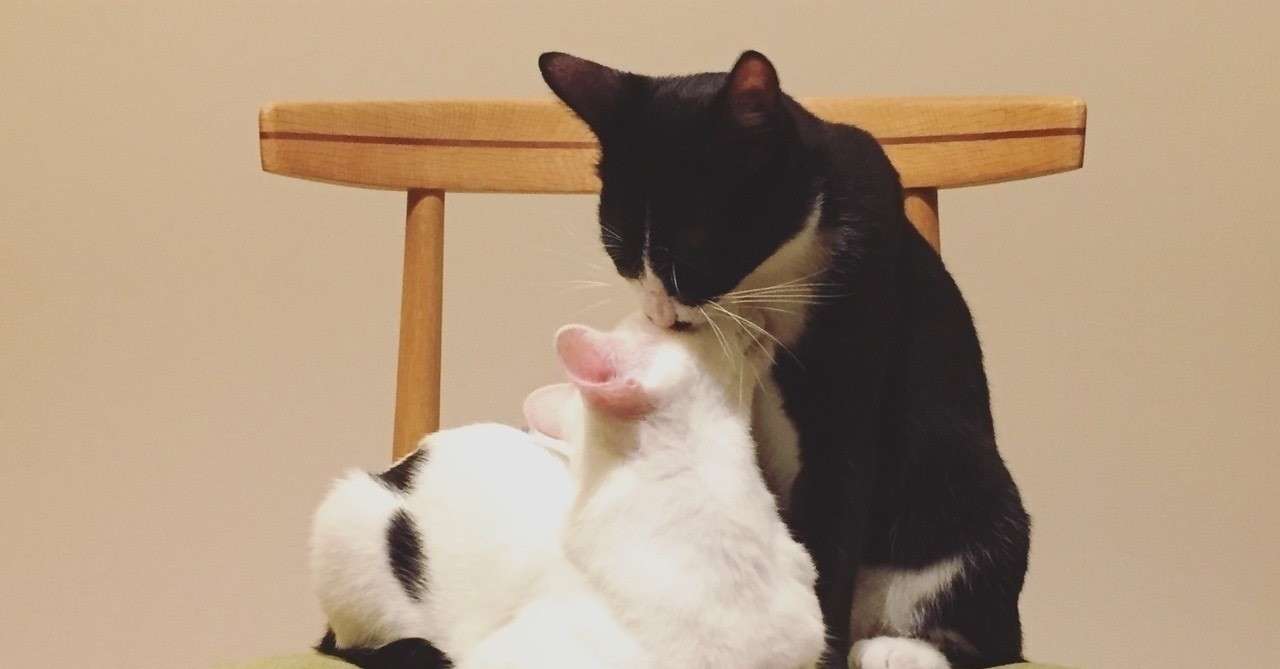 先生 歯列矯正をしてもキスできますか なつみ みどり Note